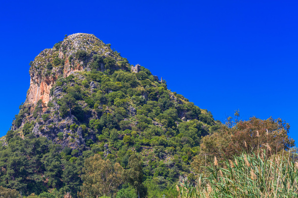 Big rock with green bushes - Photo, Image