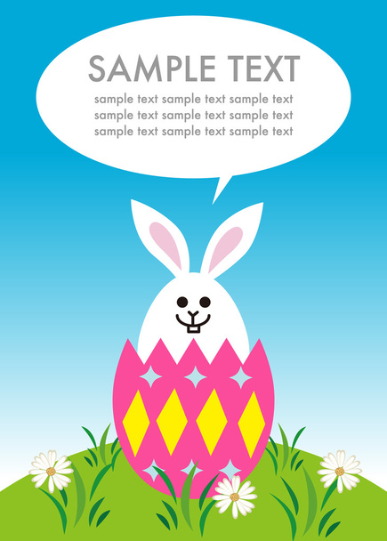 Easter bunny in the egg - Foto, Imagen