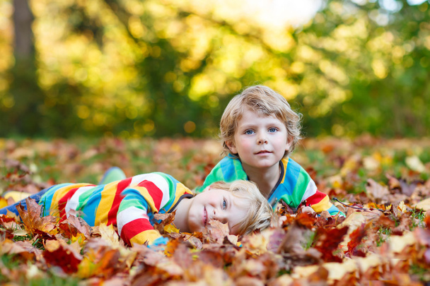 Δύο λίγο παιδί αγόρια που βάζοντας στο φθινόπωρο τα φύλλα σε πολύχρωμα ρούχα - Φωτογραφία, εικόνα