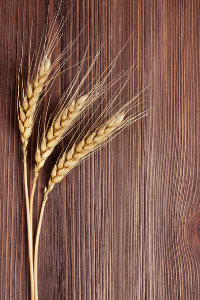 Wheat - 写真・画像