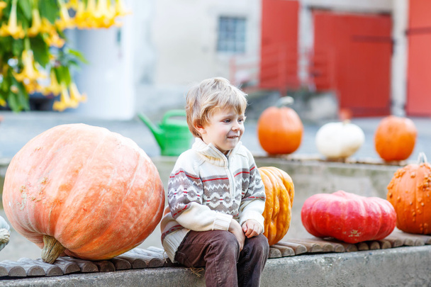 Bambino seduto con un sacco di zucche in fattoria patch
 - Foto, immagini