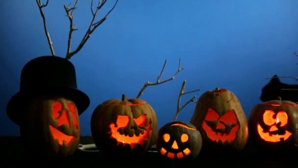 Halloween Pumpkins yakınındaki kara kedi - Video, Çekim