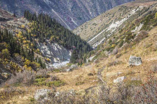 Panoramy górskiej Ala Archa wąwóz w sumie - Zdjęcie, obraz