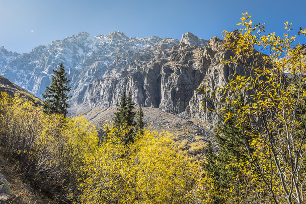 El panorama del paisaje montañoso de la garganta de Ala-Archa en la suma
 - Foto, imagen