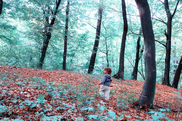 Bambino nel bosco
 - Foto, immagini