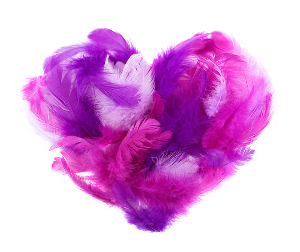 Heart in pink feathers isolated on white - Photo, Image