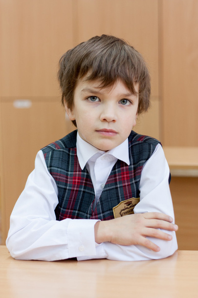 Diligent schoolboy sitting at desk, classroom - Zdjęcie, obraz