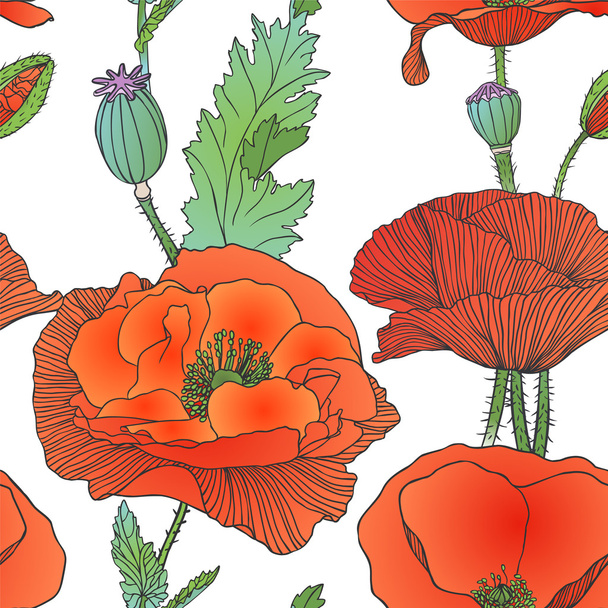 Άνευ ραφής λουλουδάτο μοτίβο - κόκκινη παπαρούνα - Διάνυσμα, εικόνα