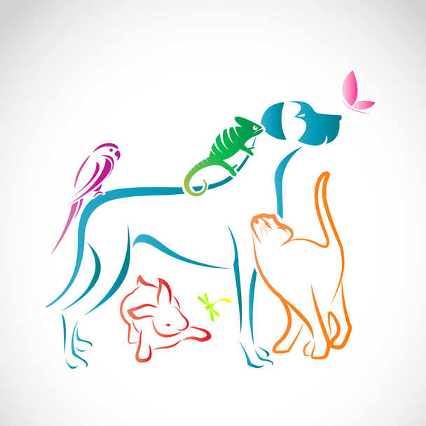 Ομάδα διάνυσμα κατοικίδια ζώα - σκύλος, γάτα, παπαγάλος, χαμαιλέοντας, κουνέλι, πισινό - Διάνυσμα, εικόνα