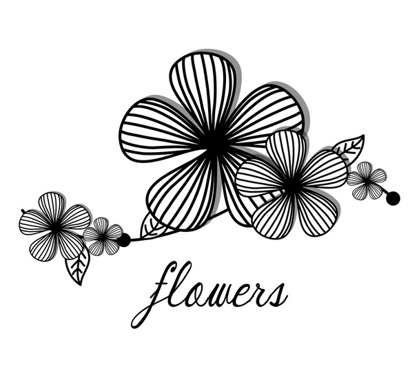 Fleurs, carte florale
  - Vecteur, image