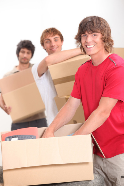 Trio of flat mates moving in together - Photo, Image