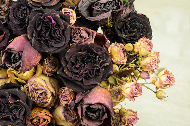 Πολλή Μαραμένο τριαντάφυλλο - Φωτογραφία, εικόνα