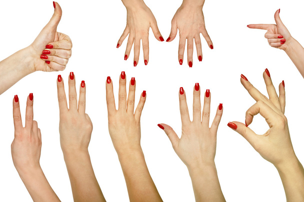 Збірка жестів рук ізольовано на білому тлі
 - Фото, зображення