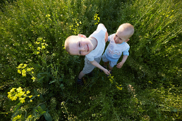 Little boys at blooming meadow - Fotó, kép