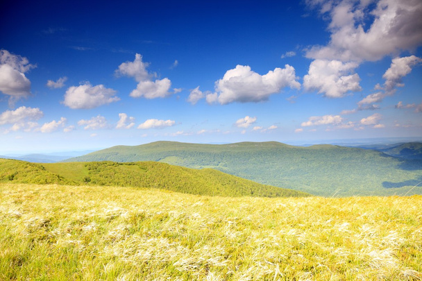 Nature. Field mountain landscape in the summer - Фото, зображення