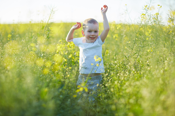 Boy in blooming summer meadow - Fotoğraf, Görsel