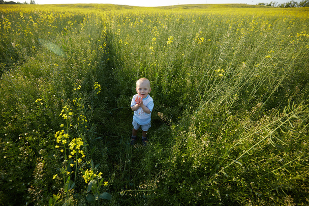 Boy in blooming summer meadow - Zdjęcie, obraz