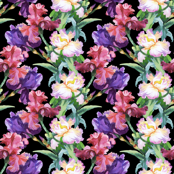 Pattern with colorful Iris flowers - Фото, изображение