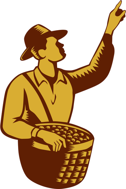 Fruit Picker Worker Pointing Woodcut - Vektor, kép