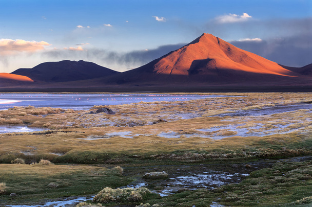 Колорадо-лагуною і вулкан Pabellon, Альтіплано, Болівія - Фото, зображення
