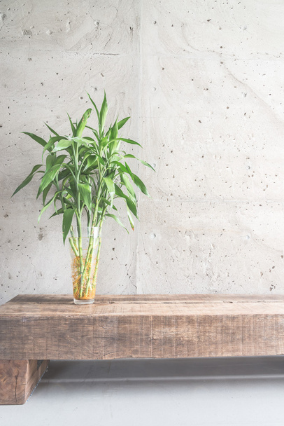 Vase plant decoration - Фото, зображення