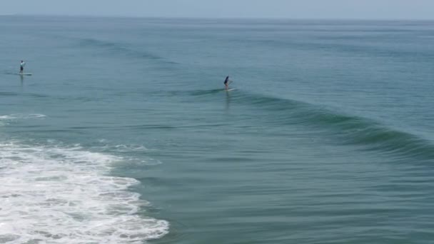 Paddleboarding the Swells on the Beach - Footage, Video