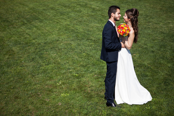 Bride and groom on green grass background - Fotoğraf, Görsel