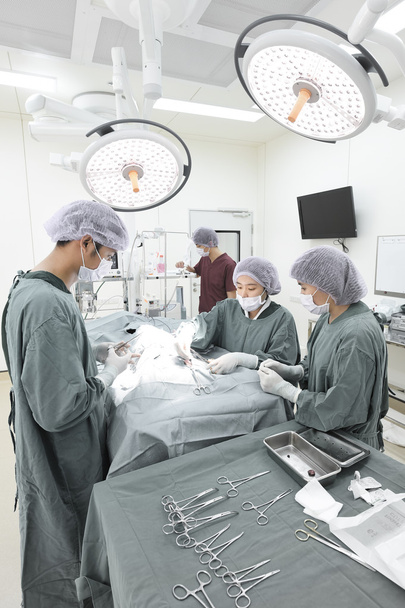 group of veterinarian surgery in operation room - Foto, Imagem