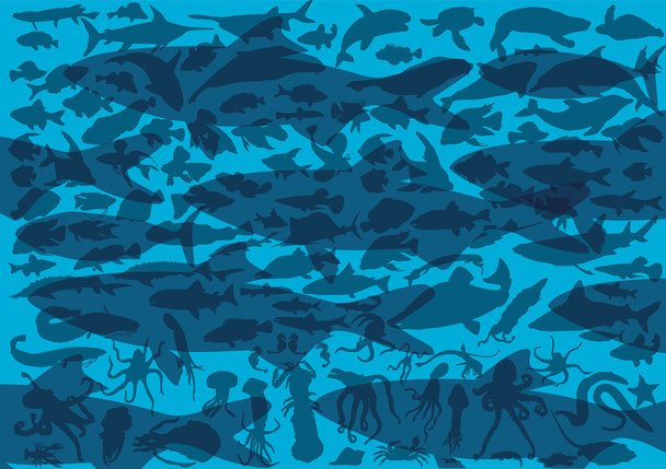 διάφορα ψάρια μπλε φόντο - Διάνυσμα, εικόνα