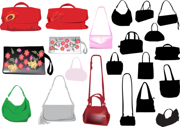 Reihe isolierter Handtaschen für Frauen - Vektor, Bild