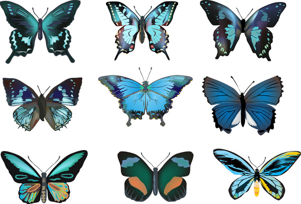 nine isolated blue butterflies - Vector, Image