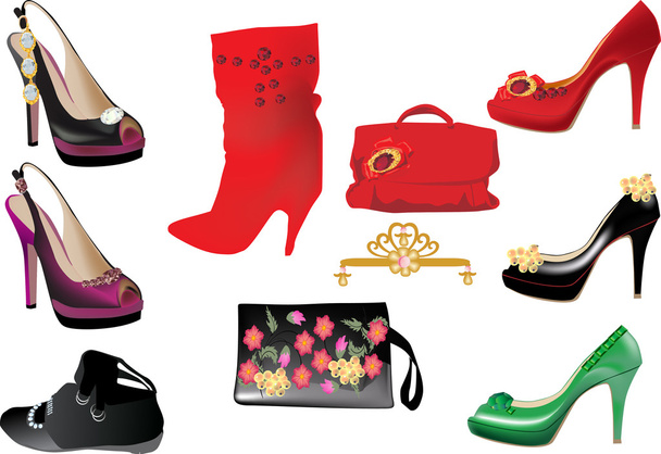 mulher sacos e sapatos coleção
 - Vetor, Imagem