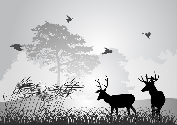 two black deer silhouettes in forest - Vector, Image