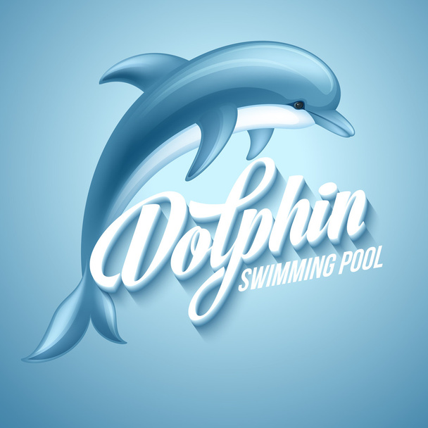 Dolphin. Swimming pool sign template. Vector illustration. - Vector, Image