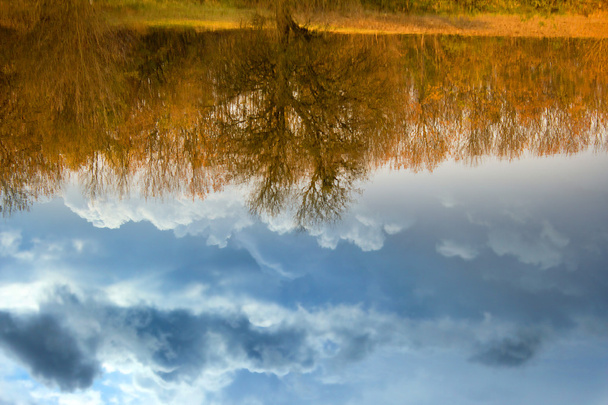 reflectie in de rivier van onweerslucht en bomen - Foto, afbeelding