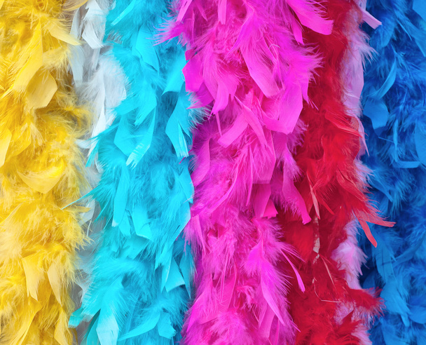 Boas de plumas multicolores
 - Foto, Imagen