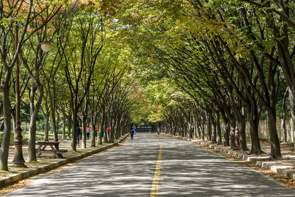 Incheon Grand Park inizio autunno
 - Foto, immagini