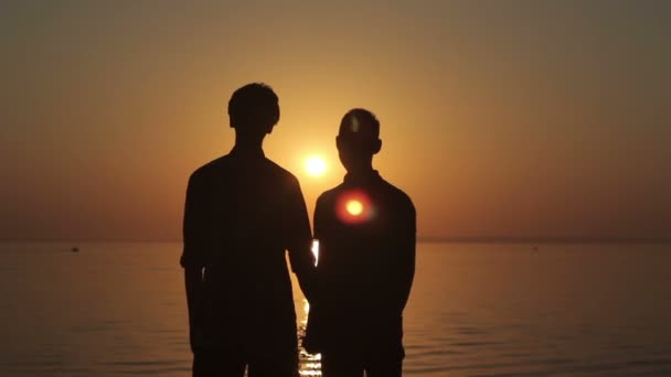 šťastné gay pár sledování západu slunce na pláži - Záběry, video