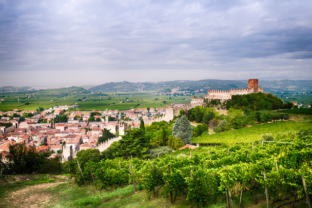 вид на Соаве (Италия) и его знаменитый средневековый замок
 - Фото, изображение