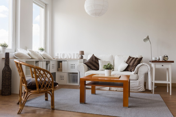 Cosy white living room - Photo, Image
