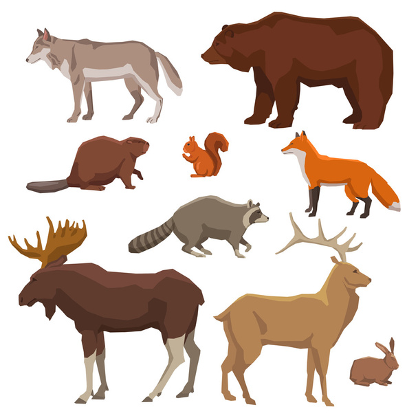 Conjunto de ícones pintados de animais selvagens
 - Vetor, Imagem
