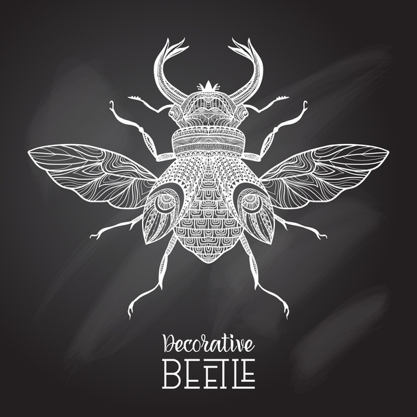 Chalkboard Beetle Decorative - Vector, Image