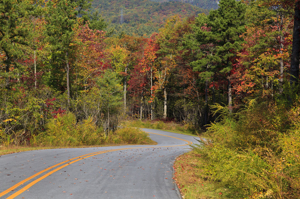 Kuzey Carolina dağlarında yol - Fotoğraf, Görsel