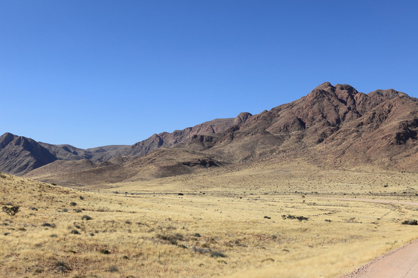 Саванна краєвид в Намібії - Фото, зображення
