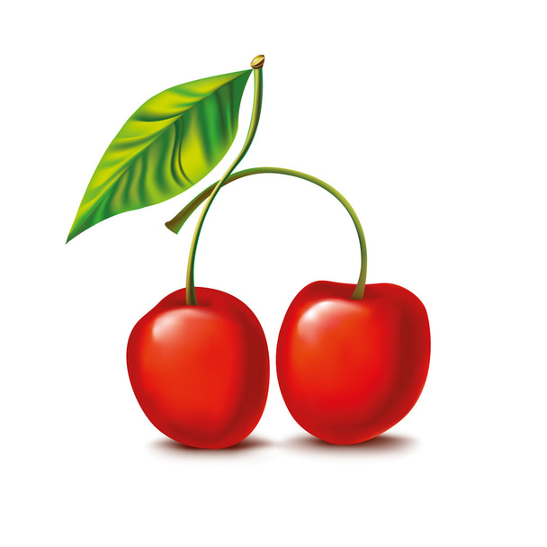 Cherry - Vektör, Görsel