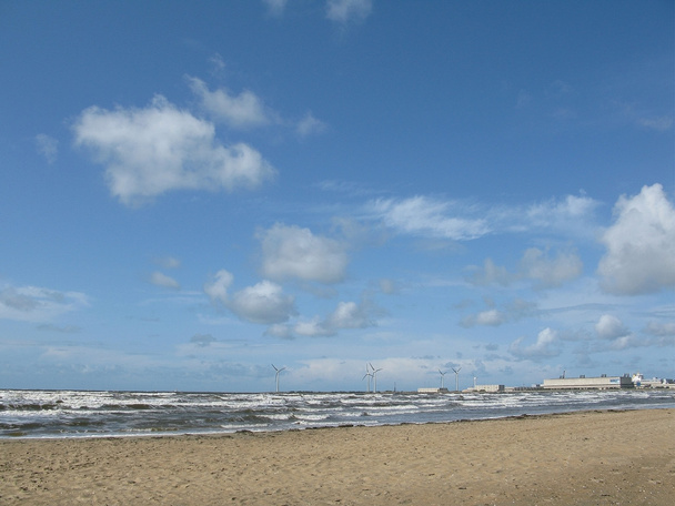 Sandy beach - Foto, imagen