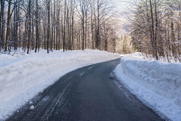 Snowy winter road in Julian Alps - Фото, зображення