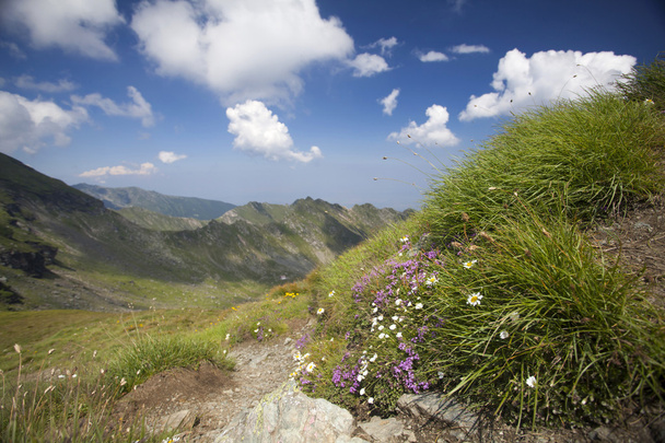 Landschap van Fagaras bergen in Roemenië - Foto, afbeelding