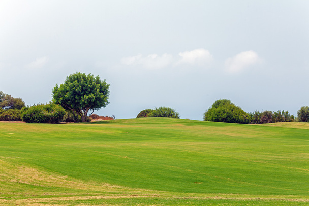 Golf alanının taze yeşil - Fotoğraf, Görsel