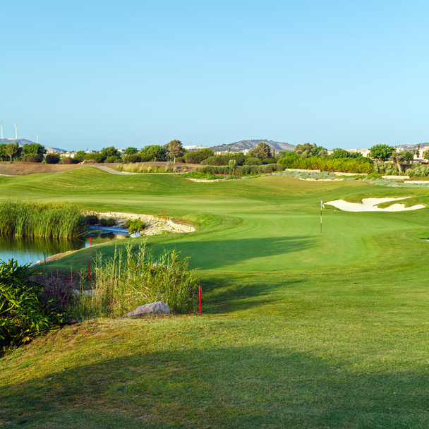 Verde fresco del campo de golf
 - Foto, imagen
